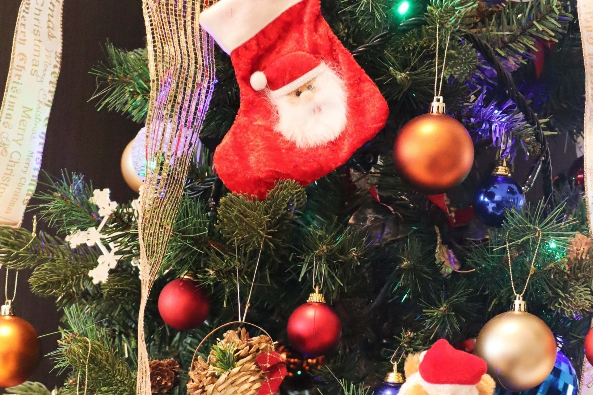 【プロレスリングFTO】大分・クリスマス特大2連戦発表！最高のバトルが待っている！